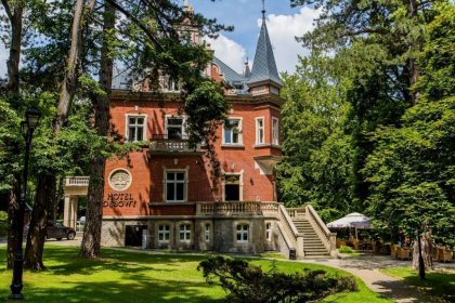 pałac - Hotel Dębowy Biowellness & SPA - zdjęcie 3