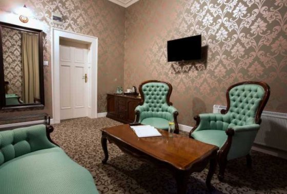pałac - Hotel Dębowy Biowellness & SPA - Pokoje - zdjęcie 7