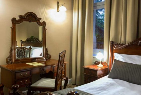 pałac - Hotel Dębowy Biowellness & SPA - Pokoje - zdjęcie 12