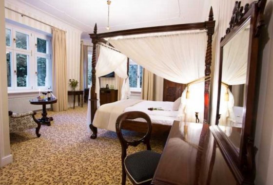 pałac - Hotel Dębowy Biowellness & SPA - Pokoje - zdjęcie 11
