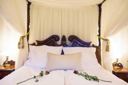 pałac - Hotel Dębowy Biowellness & SPA - zdjęcie 25