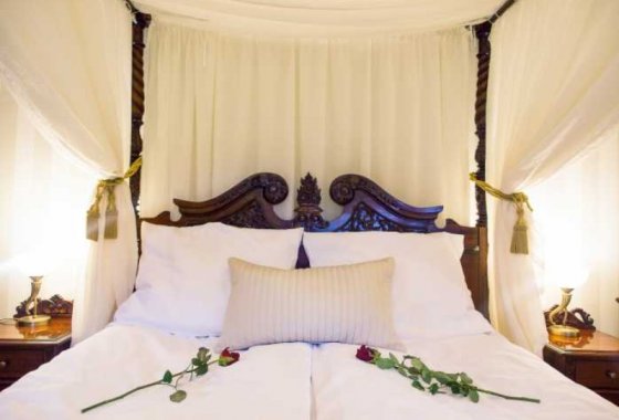 pałac - Hotel Dębowy Biowellness & SPA - Pokoje - zdjęcie 10