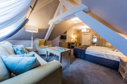 pałac - Hotel Dębowy Biowellness & SPA - zdjęcie 16