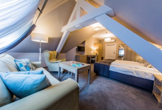 pałac - Hotel Dębowy Biowellness & SPA - Pokoje - zdjęcie 1