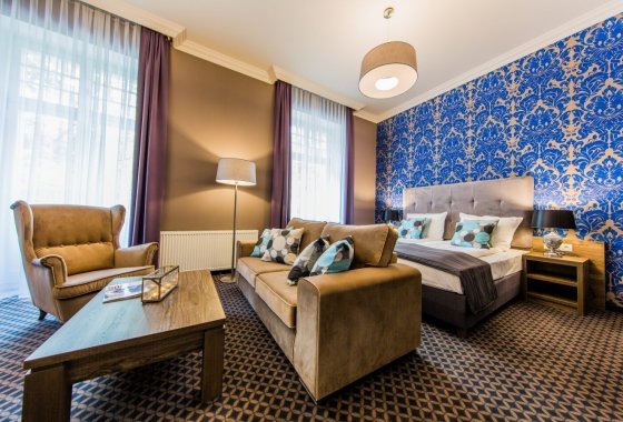 pałac - Hotel Dębowy Biowellness & SPA - Pokoje - zdjęcie 2