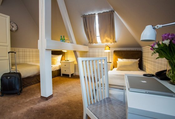 pałac - Hotel Dębowy Biowellness & SPA - Pokoje - zdjęcie 4