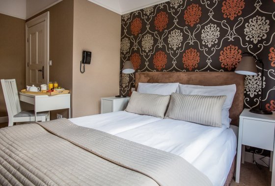 pałac - Hotel Dębowy Biowellness & SPA - Pokoje - zdjęcie 5