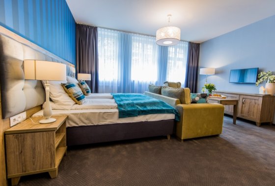 pałac - Hotel Dębowy Biowellness & SPA - Pokoje - zdjęcie 3