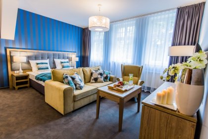 pałac - Hotel Dębowy Biowellness & SPA - zdjęcie 21