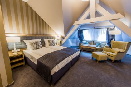 pałac - Hotel Dębowy Biowellness & SPA - zdjęcie 28