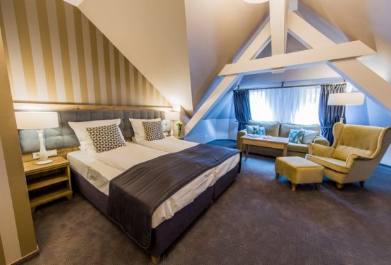 pałac - Hotel Dębowy Biowellness & SPA - Pokoje - zdjęcie 13