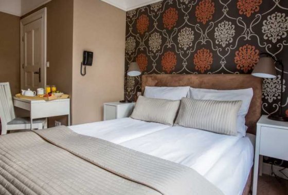 pałac - Hotel Dębowy Biowellness & SPA - Pokoje - zdjęcie 9