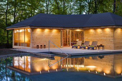 pałac - Hotel Dębowy Biowellness & SPA - zdjęcie 30