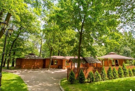 pałac - Hotel Dębowy Biowellness & SPA - Usługi - zdjęcie 16