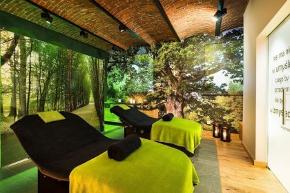 pałac - Hotel Dębowy Biowellness & SPA - zdjęcie 38