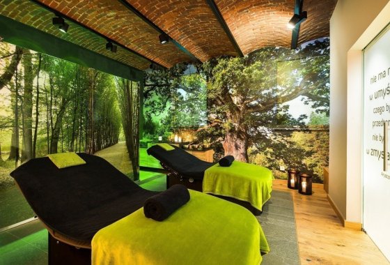 pałac - Hotel Dębowy Biowellness & SPA - Usługi - zdjęcie 10