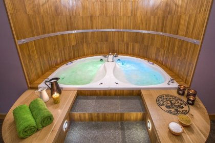 pałac - Hotel Dębowy Biowellness & SPA - zdjęcie 40