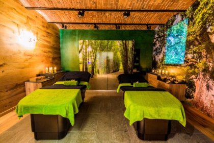 pałac - Hotel Dębowy Biowellness & SPA - zdjęcie 37
