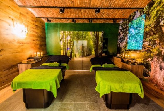 pałac - Hotel Dębowy Biowellness & SPA - Usługi - zdjęcie 9