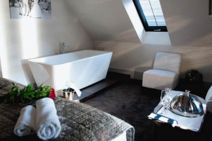 hotel **** - Pałac Jugowice - zdjęcie 14