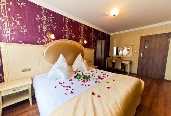 hotel **** - Hotel Oławian - Pokoje - zdjęcie 5