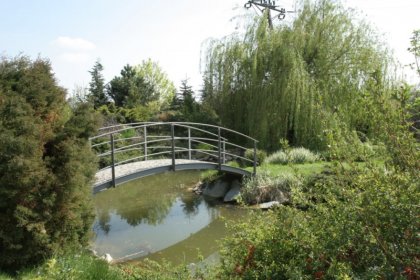 hotel *** - Hotel Azyl - zdjęcie 2