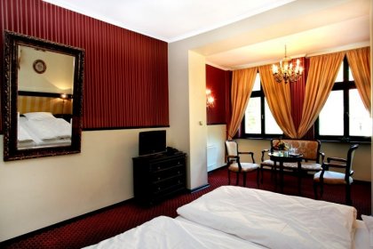 hotel *** - Hotel Fryderyk - zdjęcie 10