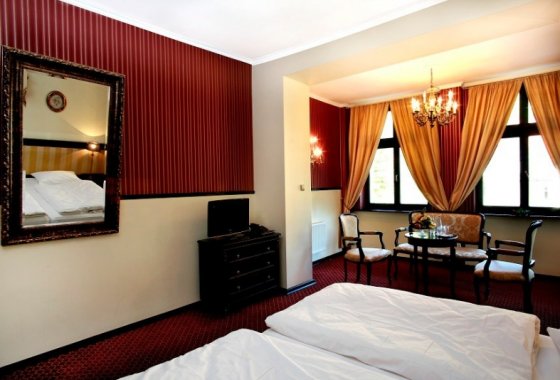hotel *** - Hotel Fryderyk - Pokoje - zdjęcie 1