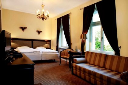 hotel *** - Hotel Fryderyk - zdjęcie 9