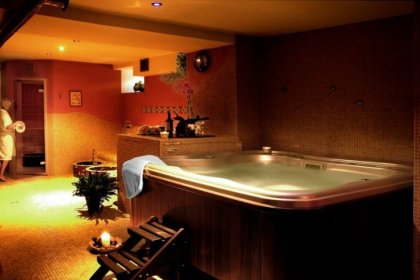 hotel *** - Hotel Fryderyk - zdjęcie 12