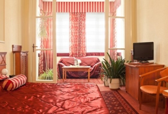 hotel *** - Hotel Piast-Roman - Pokoje - zdjęcie 1