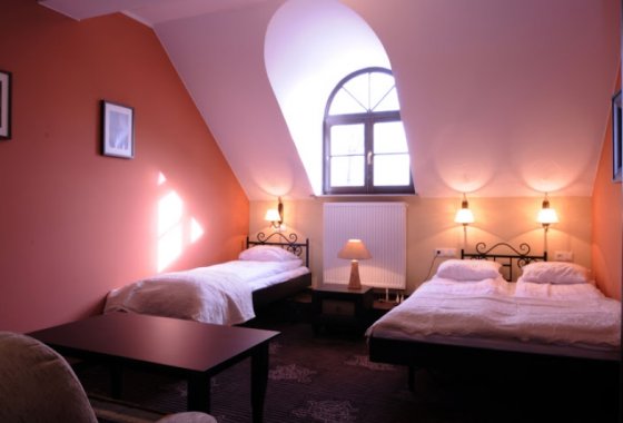 hotel - Niezły Młyn - Pokoje - zdjęcie 3