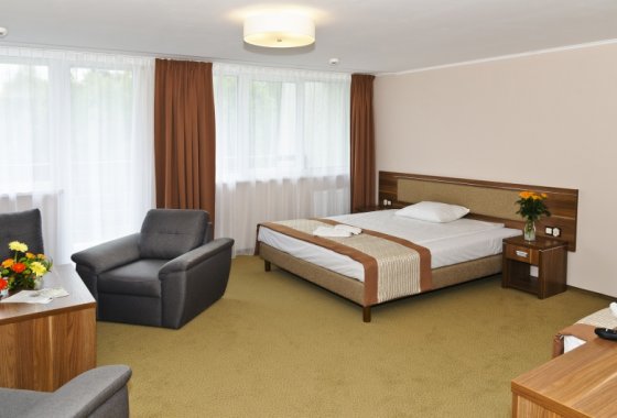 hotel *** - Hotel Polanica Resort & Spa - Pokoje - zdjęcie 3