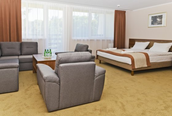 hotel *** - Hotel Polanica Resort & Spa - Pokoje - zdjęcie 12