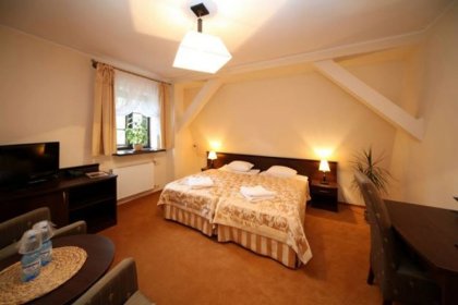 hotel *** - Hotel Karłów - zdjęcie 9