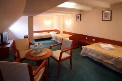 hotel *** - Hotel Karłów - zdjęcie 8