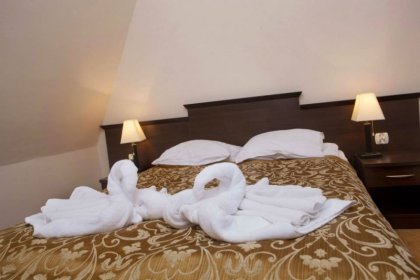 hotel *** - Hotel Karłów - zdjęcie 11