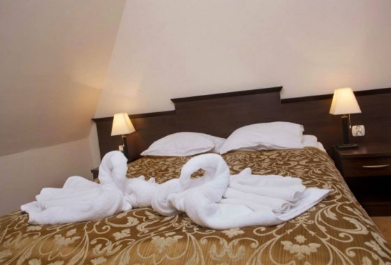 hotel *** - Hotel Karłów - Pokoje - zdjęcie 6