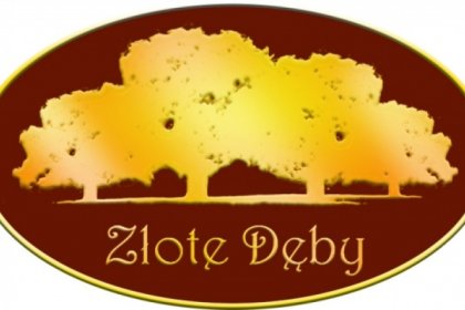 hotel *** - Hotel Złote Dęby - zdjęcie 1