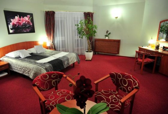 hotel *** - Hotel Złote Dęby - Pokoje - zdjęcie 4