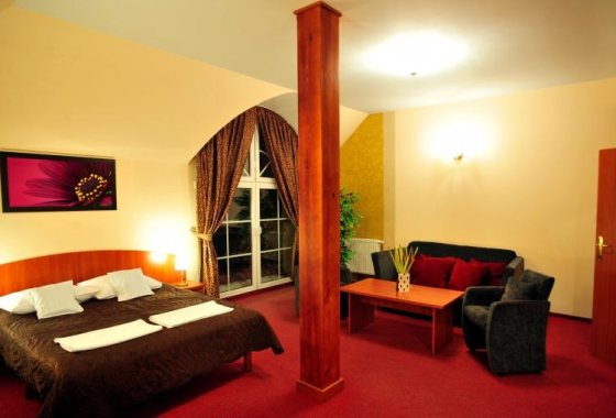 hotel *** - Hotel Złote Dęby - Pokoje - zdjęcie 6