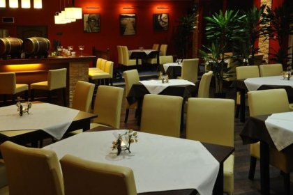 hotel *** - Hotel Złote Dęby - zdjęcie 11