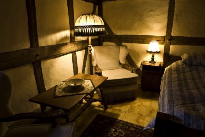 hotel ***** - Gościniec Pod Zielonym Jajem - zdjęcie 9