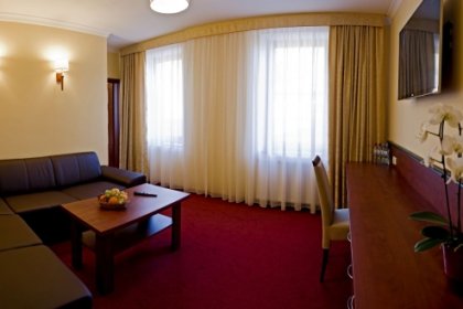 hotel *** - Hotel Piotr - zdjęcie 7