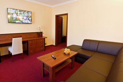 hotel *** - Hotel Piotr - zdjęcie 6