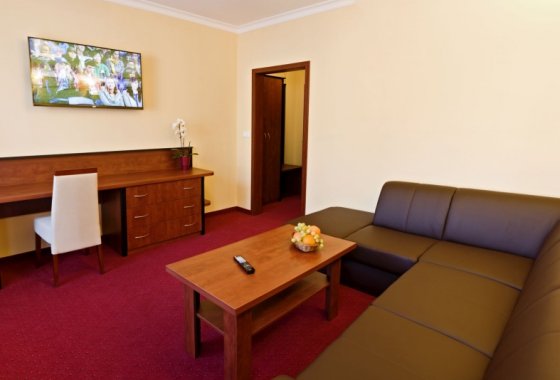 hotel *** - Hotel Piotr - Pokoje - zdjęcie 3