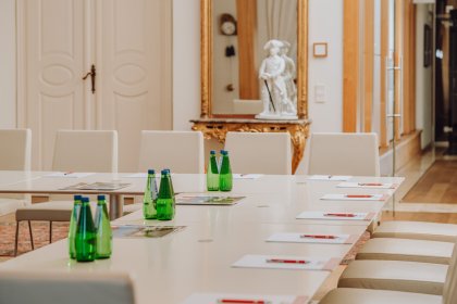 hotel ***** - Hotel Pałac Pakoszów - zdjęcie 3