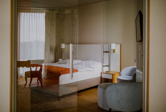 hotel ***** - Hotel Pałac Pakoszów - Pokoje - zdjęcie 1