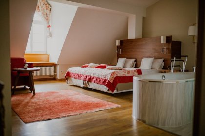hotel ***** - Hotel Pałac Pakoszów - zdjęcie 12