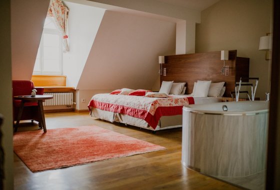 hotel ***** - Hotel Pałac Pakoszów - Pokoje - zdjęcie 4